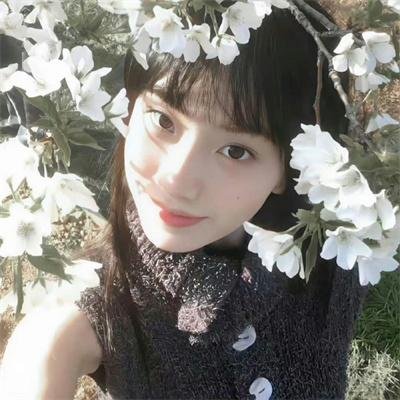 木棉花的春天